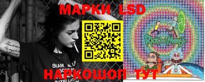 шишки Бузулук